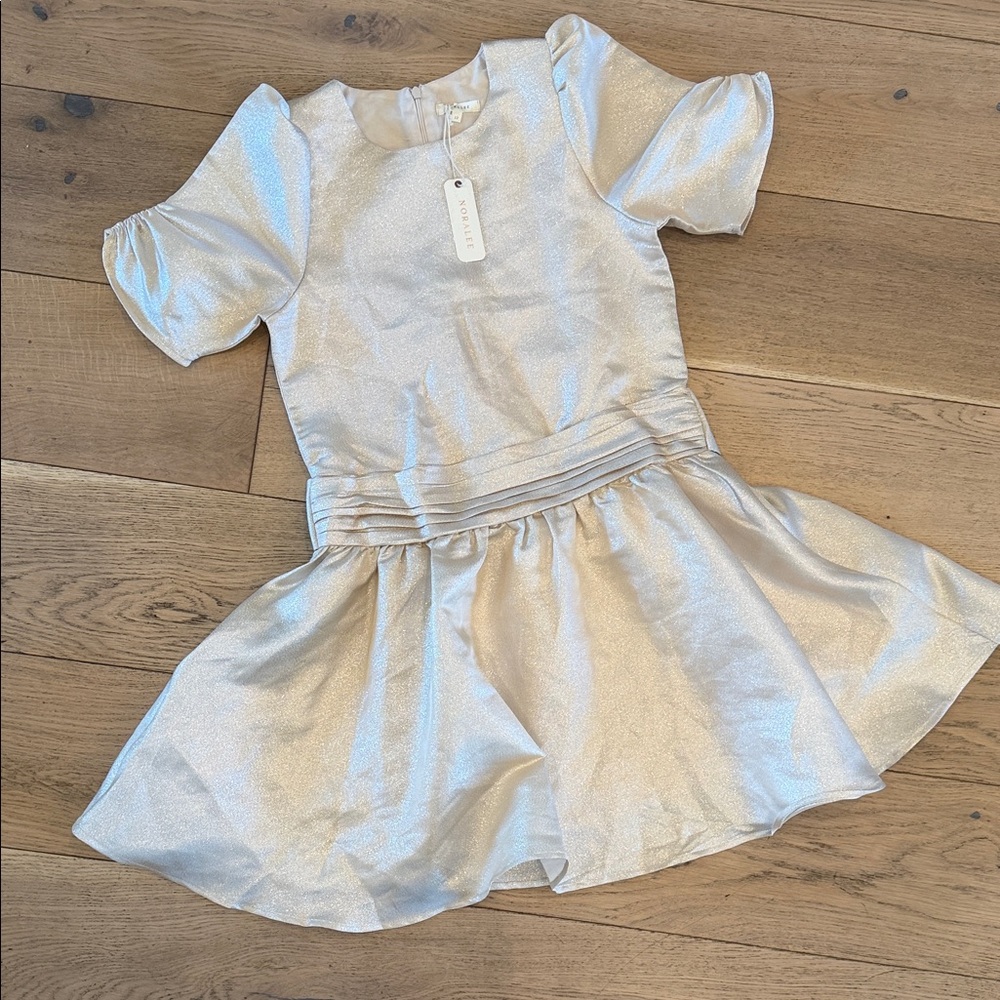Noralee Dress BNWT